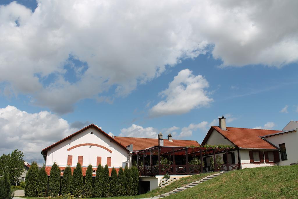Tiffan'S Pinceszet Es Panzio Hotel Villany Exterior photo
