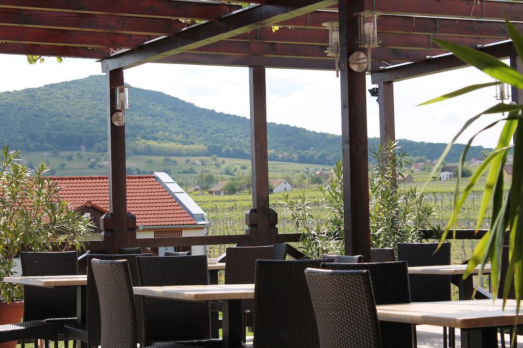 Tiffan'S Pinceszet Es Panzio Hotel Villany Exterior photo