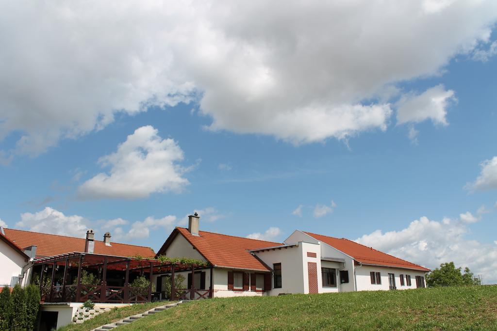 Tiffan'S Pinceszet Es Panzio Hotel Villany Exterior photo